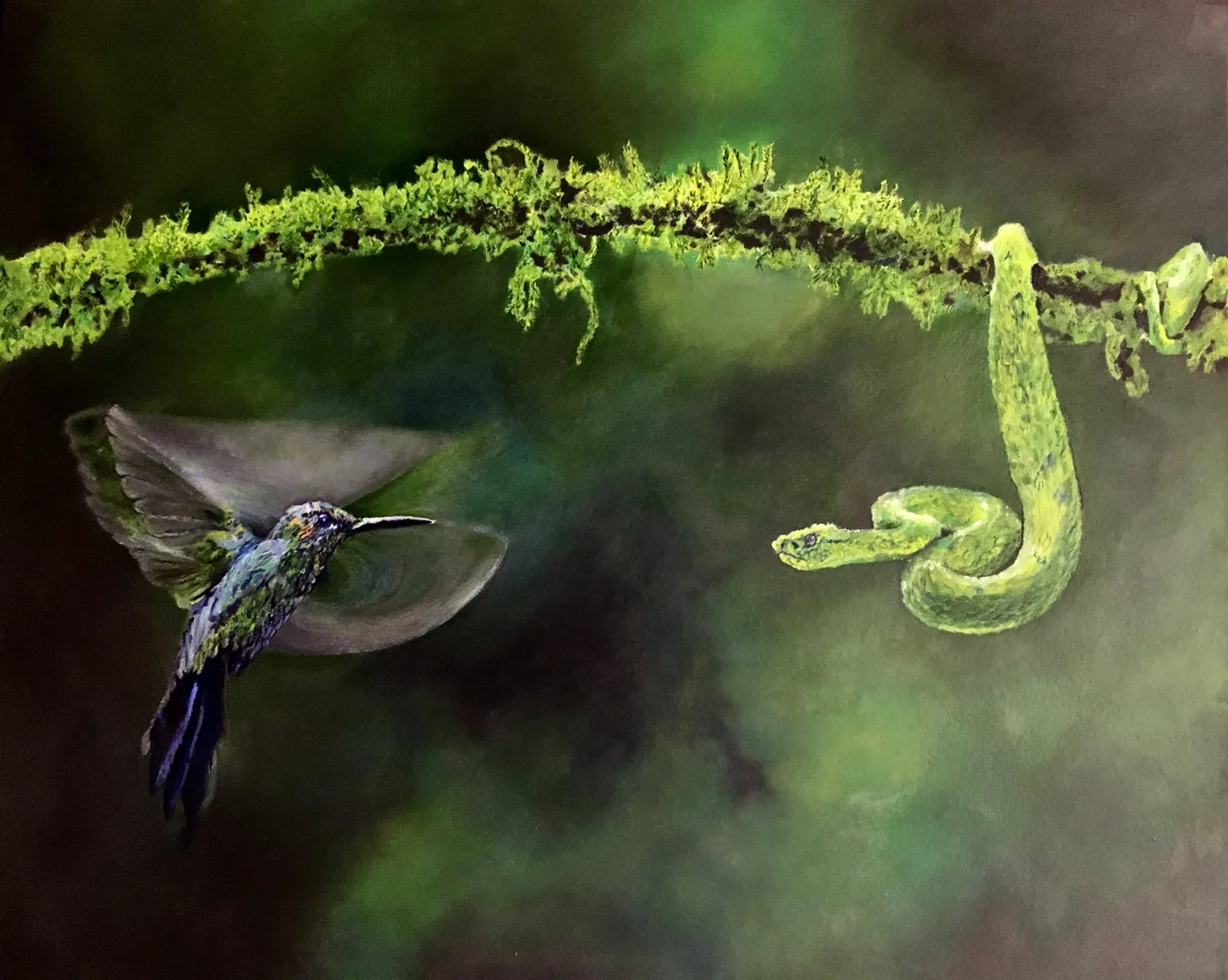 Painting of a hummingbird hovering beside a green viper on a mossy branch