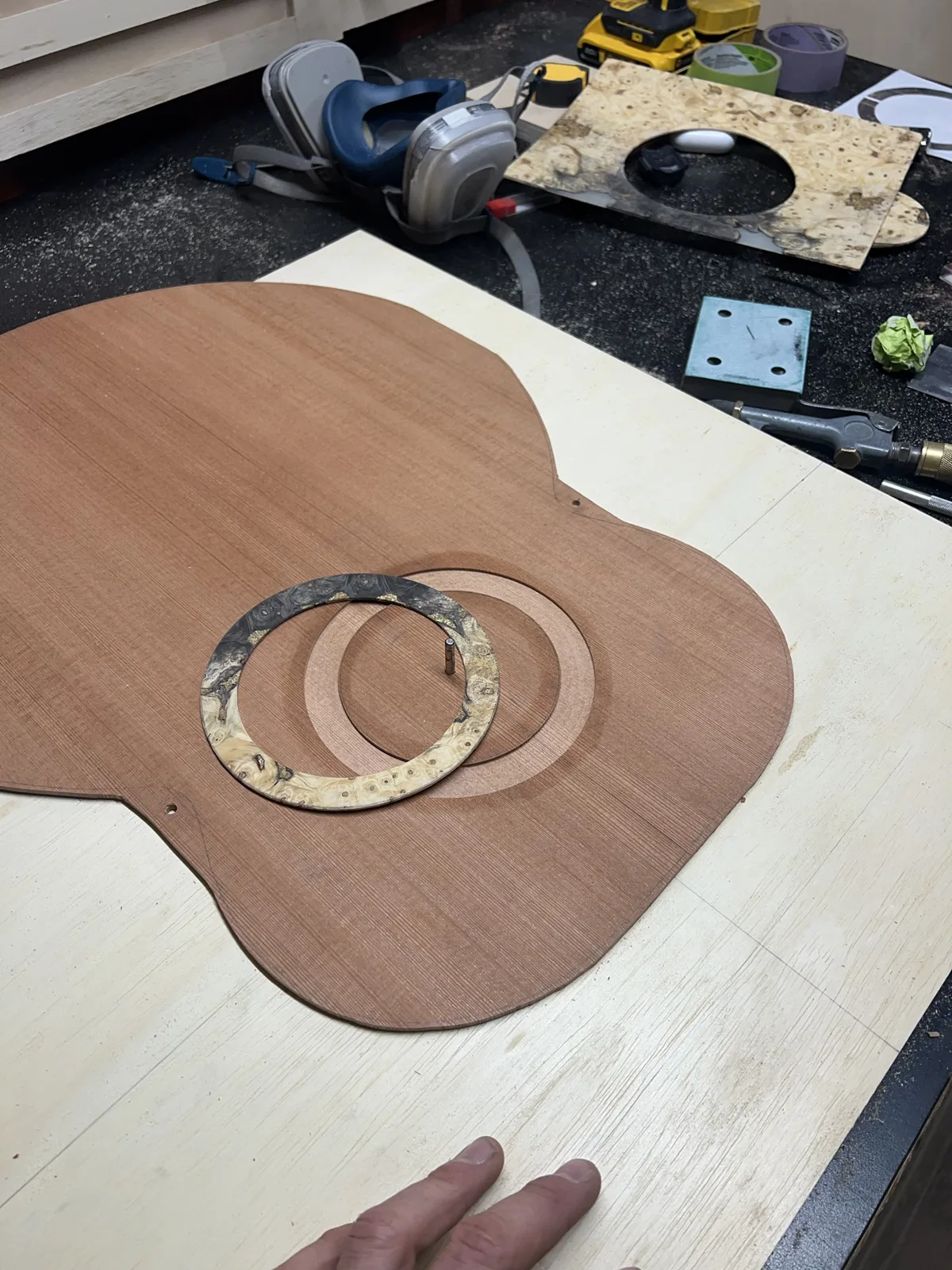 The cedar top cut to shape, with the burl rosette ring and its channel ready to receive it